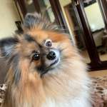 Артем, фото