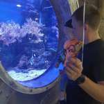 Павел, фото