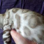 Любовь, фото