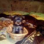 София, фото