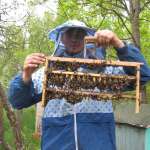 Пчелиная Аптека, фото