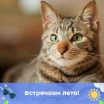 Алина, фото