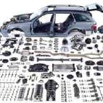 Павел, фото