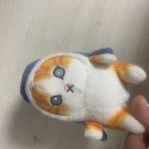 Игрушка котик в костюме акулы. По длине 10 см по ширине 8, в Калининграде