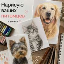 Нарисую ваших питомцев, в Сургуте