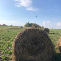 Продам сено, в Пензе