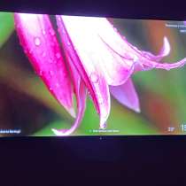 телевизор tcl 55c655 pro, в Димитровграде