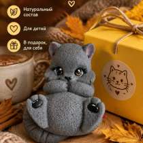 Котик «Пуговка», в Рязани