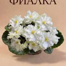 Фиалка НД-Магия Детка, в Отрадном