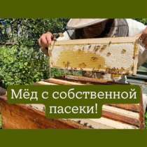 Мед натуральный, в Ижевске
