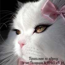 Ищю моделей, в Нижнем Новгороде