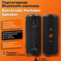 Barracuda portable speaker, в Таганроге