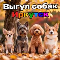 Выгул собак,недорого, в Шелехове
