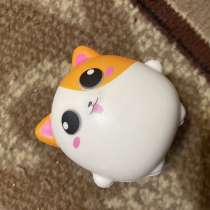 Котик сквиш, в Новомосковске