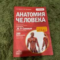 Атлас по «Анатомии человека», в Богдановиче