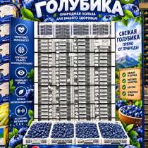 Ягоды голубика, в Щербинке