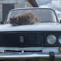 Ваз2106, в Красноярске