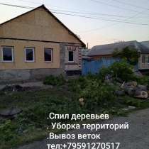Спил деревьев, расчистка участов, вывоз мусора, в г.Луганск