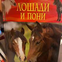 Книга о лошадях, в Санкт-Петербурге