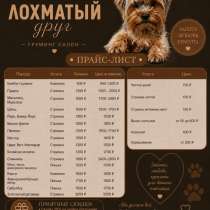 Стрижка собак, груминг, в Абакане