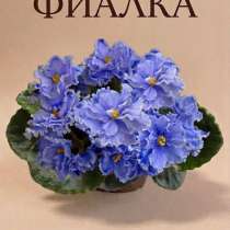 Рм-Роса в изумруде Фиалка Детка, в Отрадном