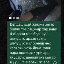 Добрые ответственные руки, в Грозном