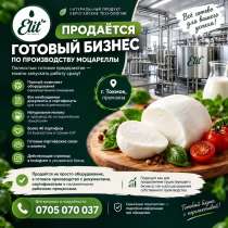 Продаю готовый бизнес! Действующее предприятие, в г.Бишкек