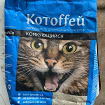 Кошачий туалет, в Шахтах