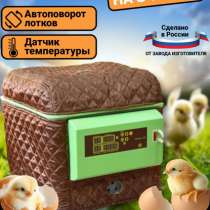 Инкубатор, в Оренбурге