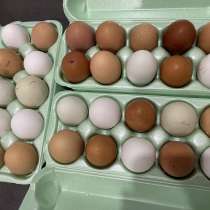 Продаю домашние яички, в Старой Купавне
