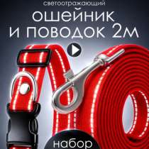 Ошейник и поводок для щенков/взрослых собак, в Кемерове