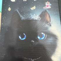 Пенал Luna cat с котом, в Барнауле