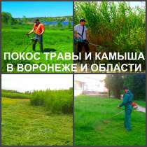 Покос травы. Мы косим траву в Воронеже, в Воронеже