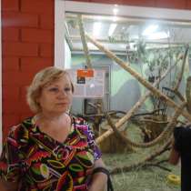 Сбалансированное питание, в г.Петропавловск