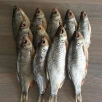 Астраханская вяленая рыба, в Подольске