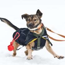 Машенька ищет дом, в Москве