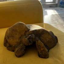 Домик для рептилий, в Селятино