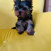 Suchen ein neues zu Hause, в г.Мюнхен