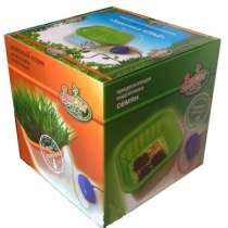 Домашняя гидропонная установка Здоровья Клад автоматический спраутер проращиватель семян, косточек, зёрен и семечек, в Москве