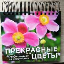 Перекидной календарь, в Твери