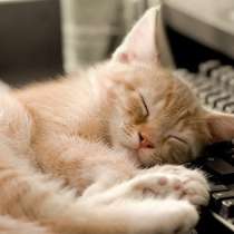 Тихий домашний компьютер, в Омске