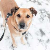 Ричи - таких выбирают сердцем, в Москве