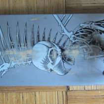 Скейтборд, в Калининграде