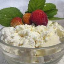 Творог из козьего молока, в Санкт-Петербурге