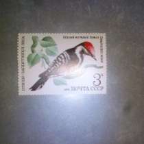 Марка 3к 1979 год СССР Малый пестрый дятел, в Москве