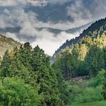 Central Asia E-VISA / Visa support, в г.Дели