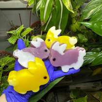 Мыло зайчик, в Химках