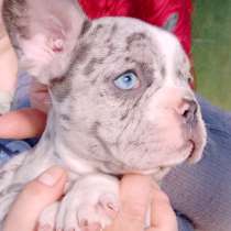 Французские конфети, в Москве