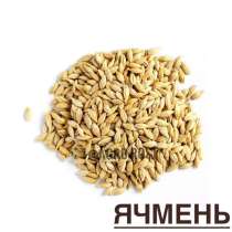 Ячмень яровой семена, в Казани
