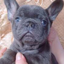 Французское очарование, в г.Ереван